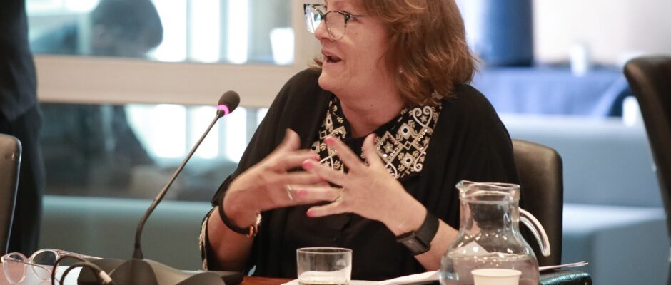 Diputada Nacional Patricia Mounier: “Los comités mixtos son primordiales para garantizar un debate paritario”